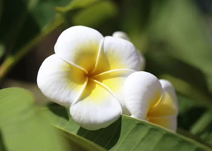 Villaggio Il Gabbiano